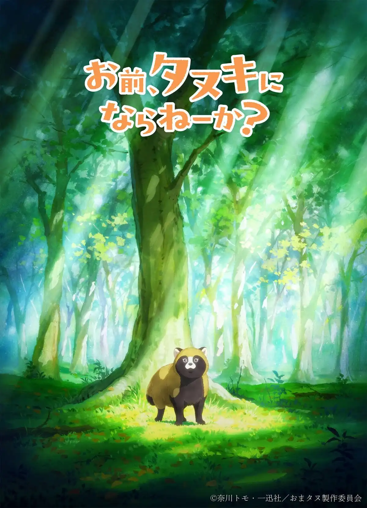 你，不变成狸猫吗？