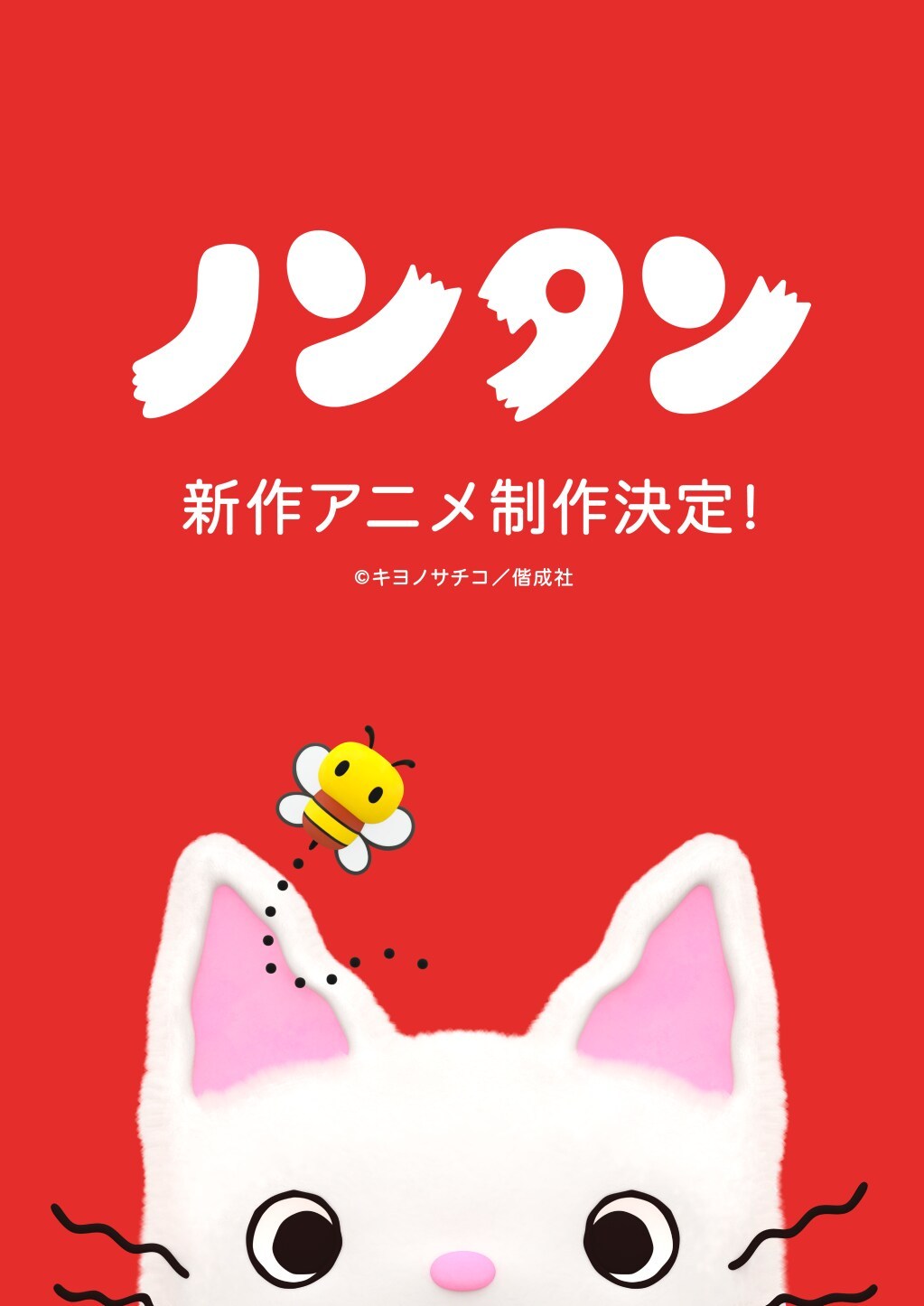 小猫丹丹