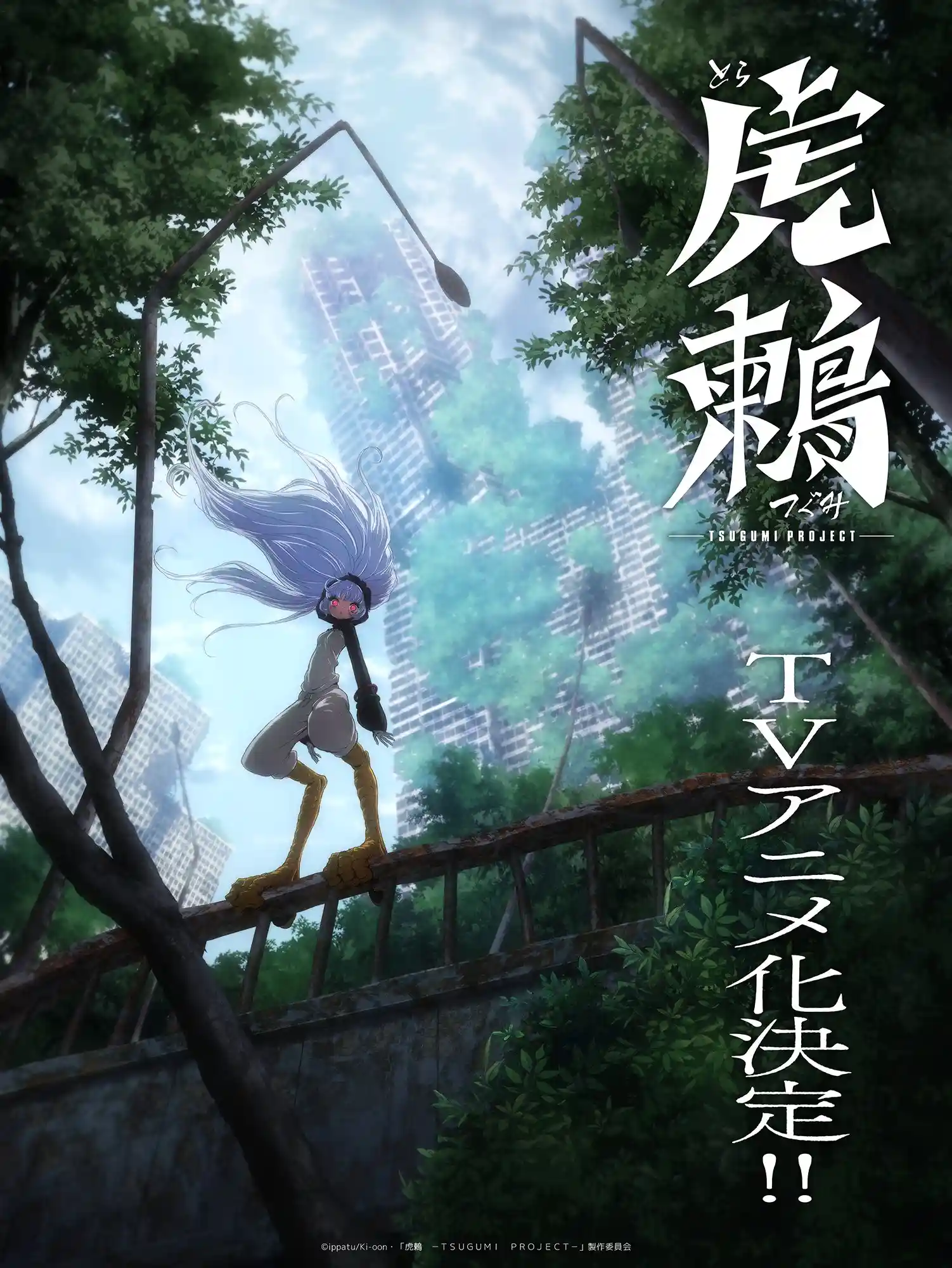 虎鸫 -TSUGUMI PROJECT-
