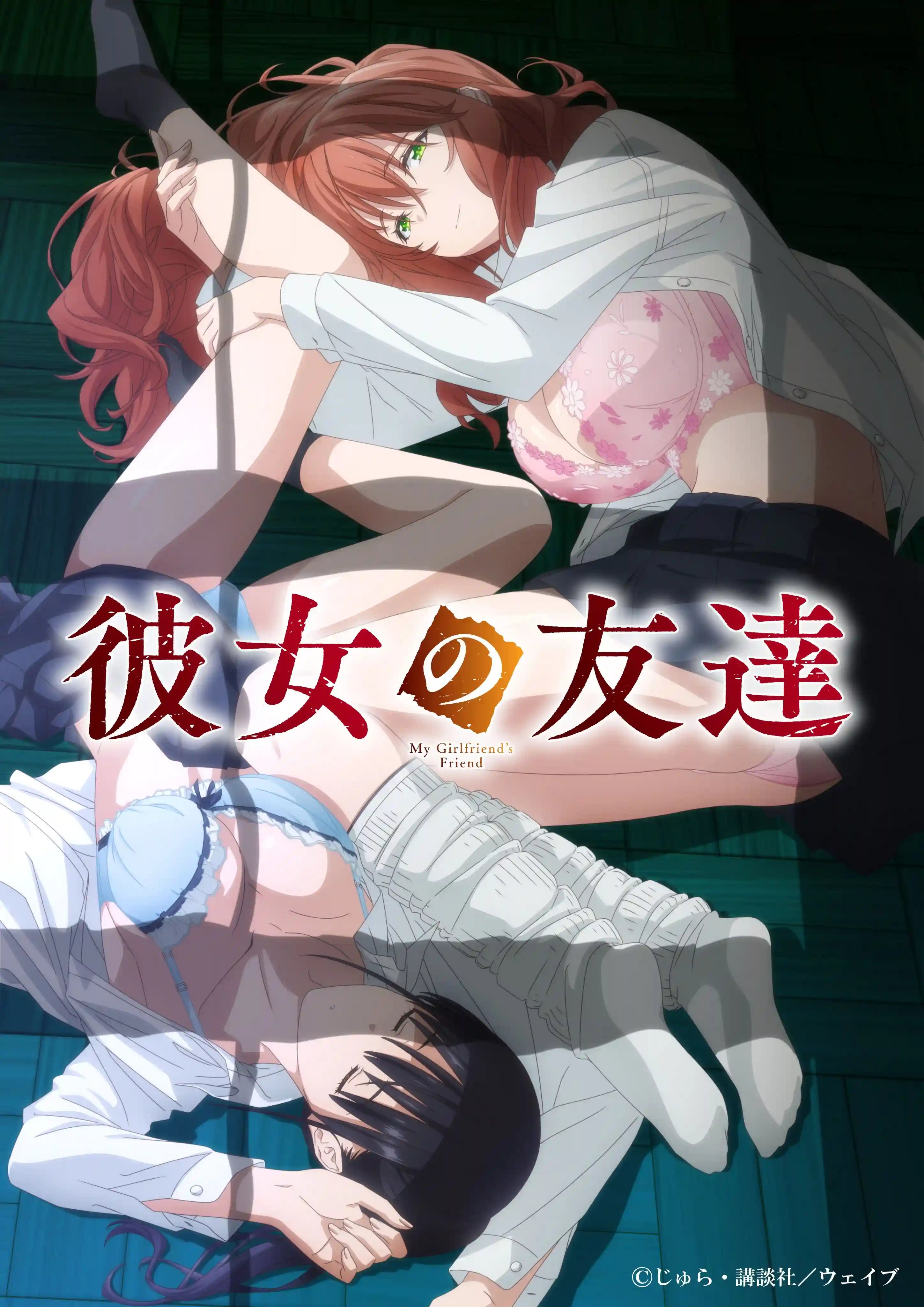 女友的朋友