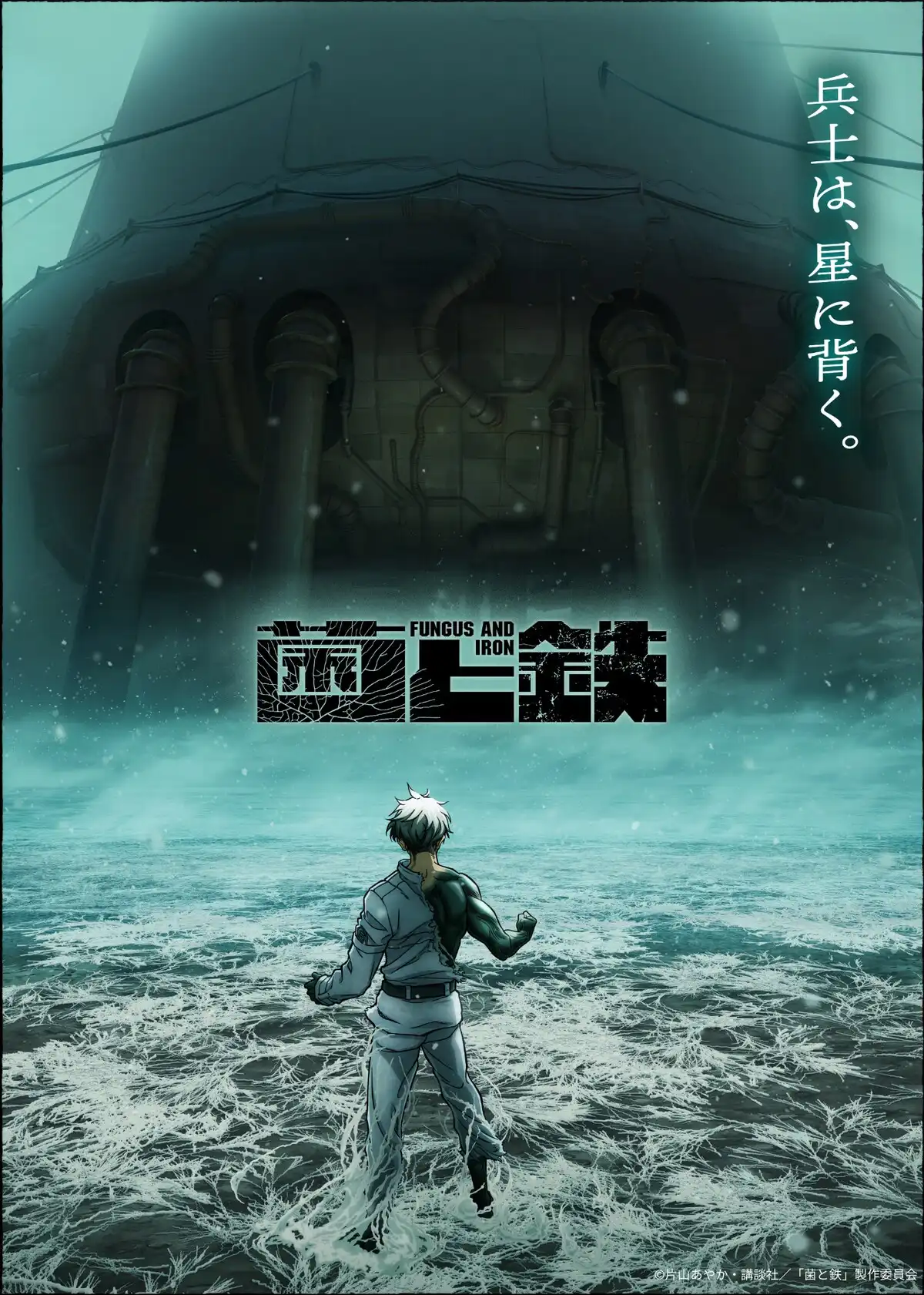 菌与铁